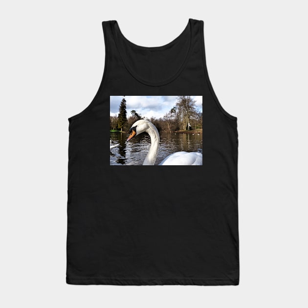 Swan Looking Straight Into My Eyes Tank Top by fantastic-designs